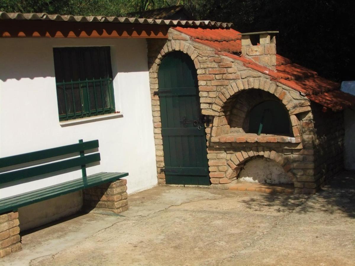 Nikos 1 *